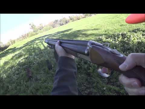 Driven Fox Hunt with Chiappa Triple Crown 20G and Dachshunds Victoria 19/06/2022