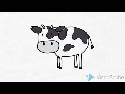 Ameaças à Biodiversidade - Perda de Habitat