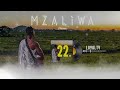 DRIEMO LOYALTY Official Audio Visualizer Mzaliwa Malawi Zambia Afrobeat