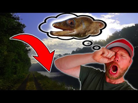 Der frühe Vogel fängt mit Wurm? Auf Aal und Zander im Kanal!