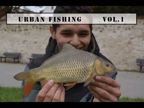 Urban fishing České Budějovice