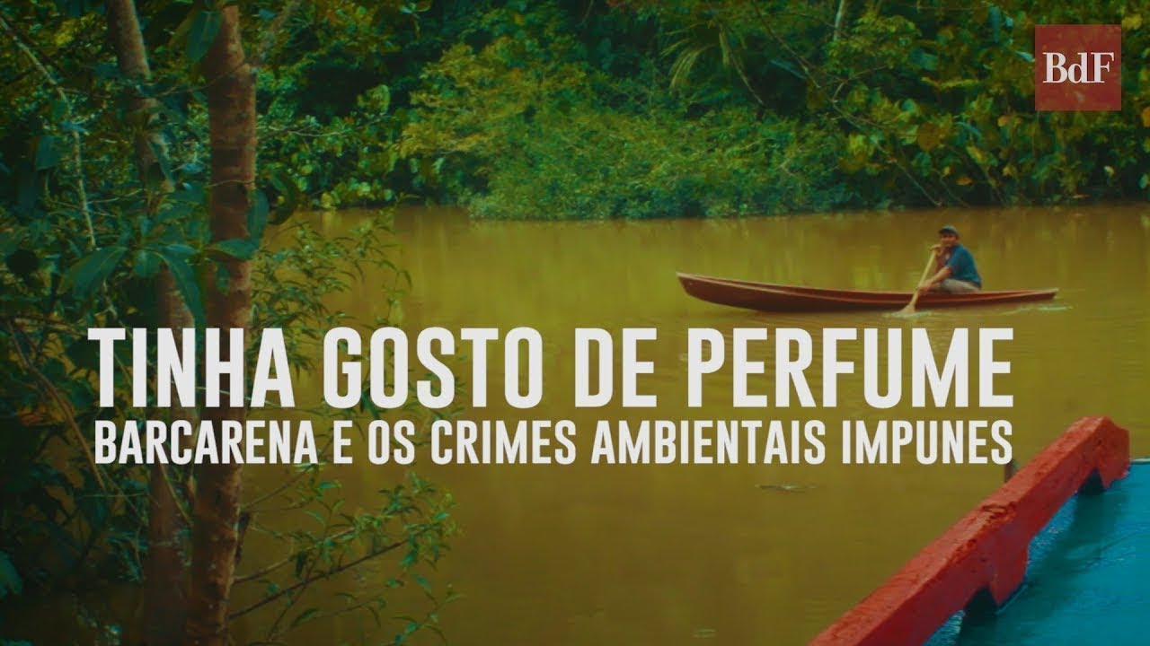 TINHA GOSTO DE PERFUME | Barcarena e os crimes ambientais impunes