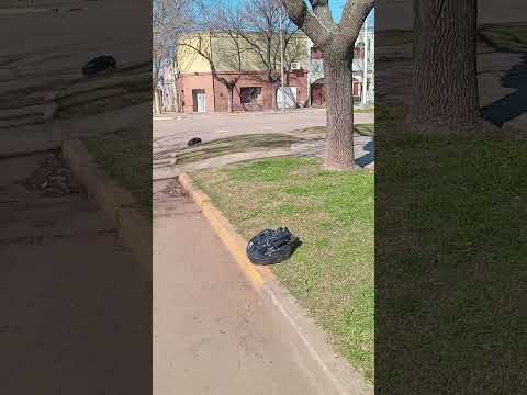 #ariascordoba #beatrizbufflen #lugaresquesedeberiandeconocer lugare