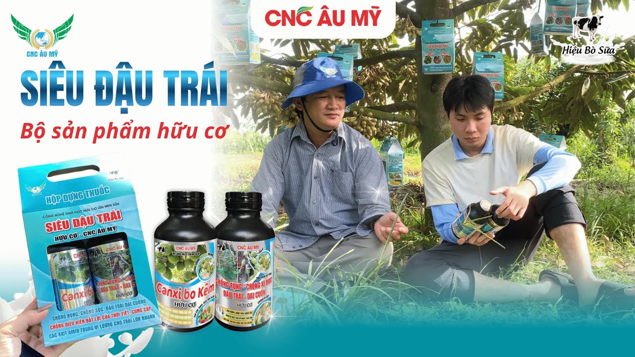 Bộ Siêu Đậu Trái 
