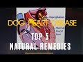 Dog Heart Disease: Top 5 Natural Remedies