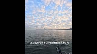 シアトルで朝からサーモンを釣りに行く時に見える景色が最高なんです😊 #シアトル #釣り #サーモン