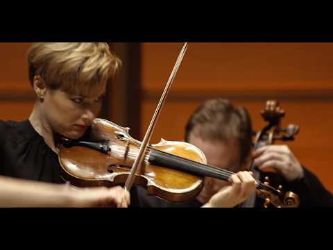 LOCATELLI Violin Concerto in D major The Harmonic Labyrinth | ACO Soloists