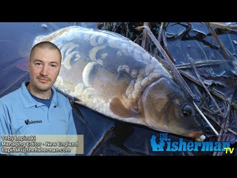 March 15, 2018 New England Fishing Report with Toby Lapinski