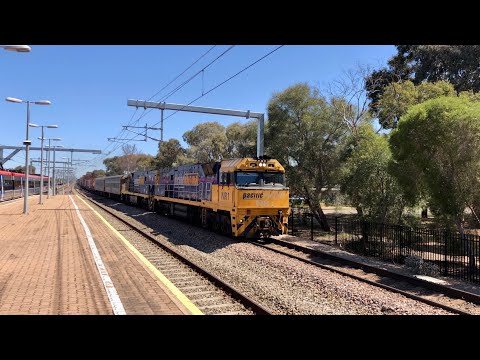 Pacific National Freight - 2MP5 - NR1, NR92