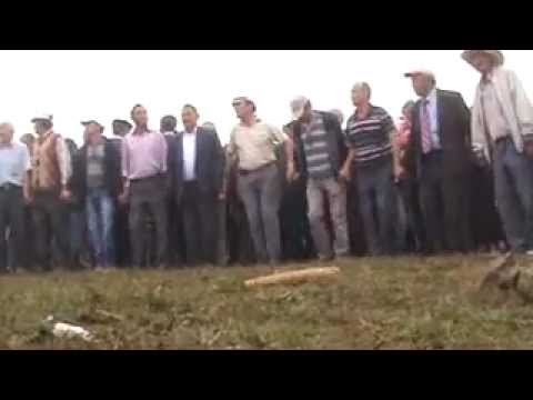Video 1