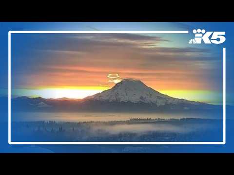 Rainier Connect Outage Today