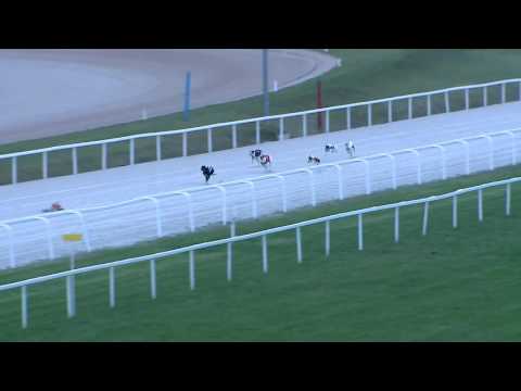 2017.05.05. 4. futam - Agár