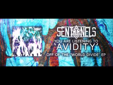 Sentinels - Avidity [Official Song Stream]