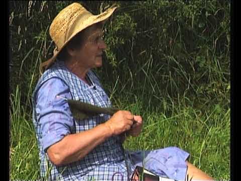 Benedicite… / Magnificat…