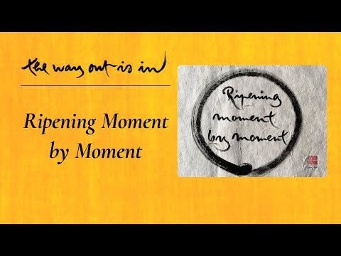 Ripening Moment by Moment | TWOII podcast | Episode #64