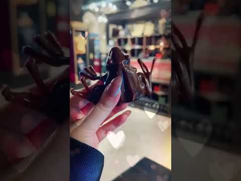 Harry Potter Merch Chocolate frogs|  #harrypottermerch #harrypottertok #harrypotterfan #london