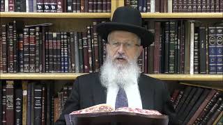 הגאון הרב אברהם יוסף שליט"א מה יעשה אדם שהתפלל מוסף במקום תפילת שחרית (הרב אברהם יוסף) - התמונה מוצגת ישירות מתוך אתר האינטרנט יוטיוב. זכויות היוצרים בתמונה שייכות ליוצרה. קישור קרדיט למקור התוכן נמצא בתוך דף הסרטון