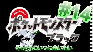#14【ポケットモンスターブラック】実況プレイ