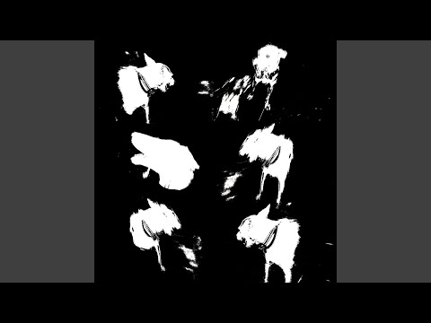 Valley Of The Dogs (Every Night)