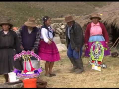 florcita de sucre Cuanto Cuestas (huayno con arpa y violin)