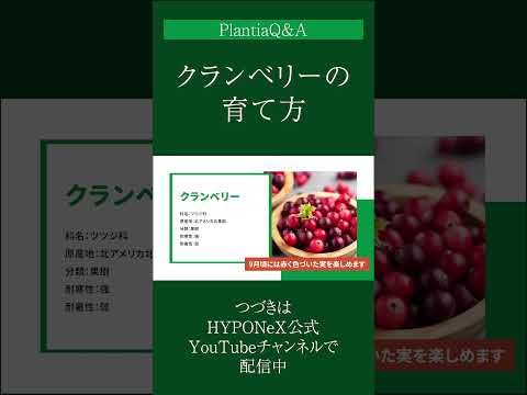 果樹の早期開花を遅らせ、回避するにはどうすればよいですか? + アイスセインツ 2024 の日程  庭園