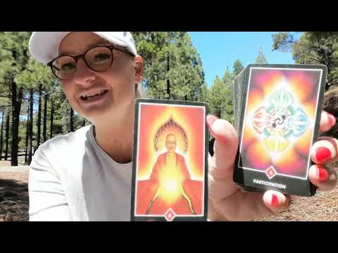 Eilbotschaft fűr Dich 📨 kurz bevor es passiert siehst Du diese Lesung (ENDLICH!)