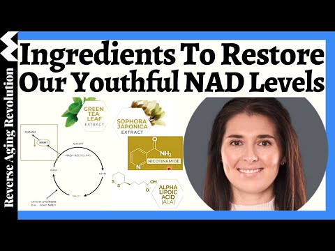 The FULL Ingredient List To RESTORE Our Youthful NAD Levels | NAD Scientist  Dr. Nichola Conlon