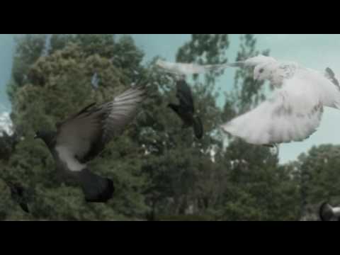 Le Dormeur du Val (a short film)