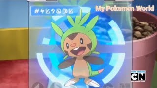 Chespin Pokedex Entry Pokemon xy