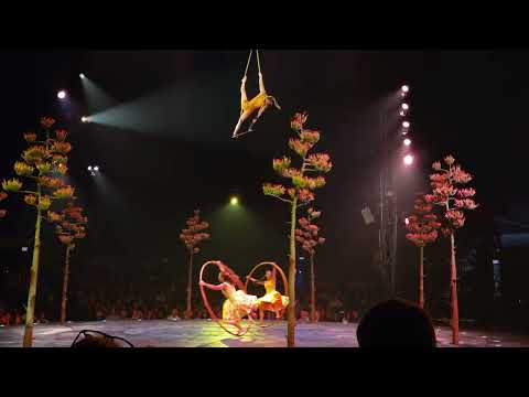Cirque du Soleil's Luzia -- Washington DC 