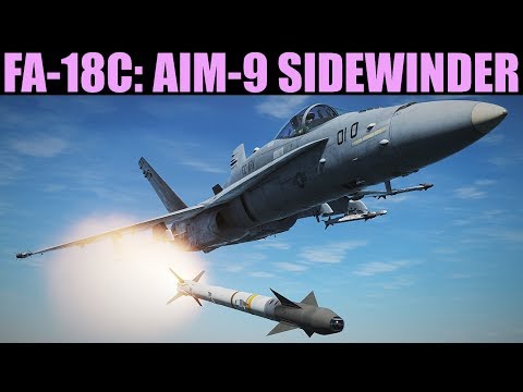 FA-18C Hornet: Aim-9 Sidewinder Missile (SEEK/STT) Tutorial | DCS WORLD