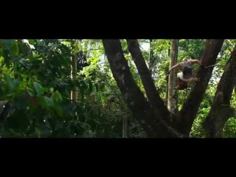 xXx: The return of Xander cage Official Trailer #1