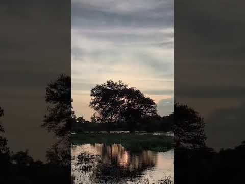 alas hornillas de la laguna de atescatempa Jutiapa Guatemala CA