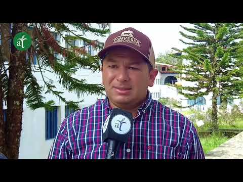 Productores merideños mejoran la calidad de papa