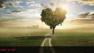 Geh wohin dein Herz dich führt - Hanne Haller