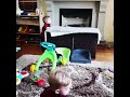 Sesame Street Twins