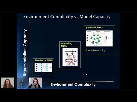 Dr Irina Rish - Introduction to Continual Learning