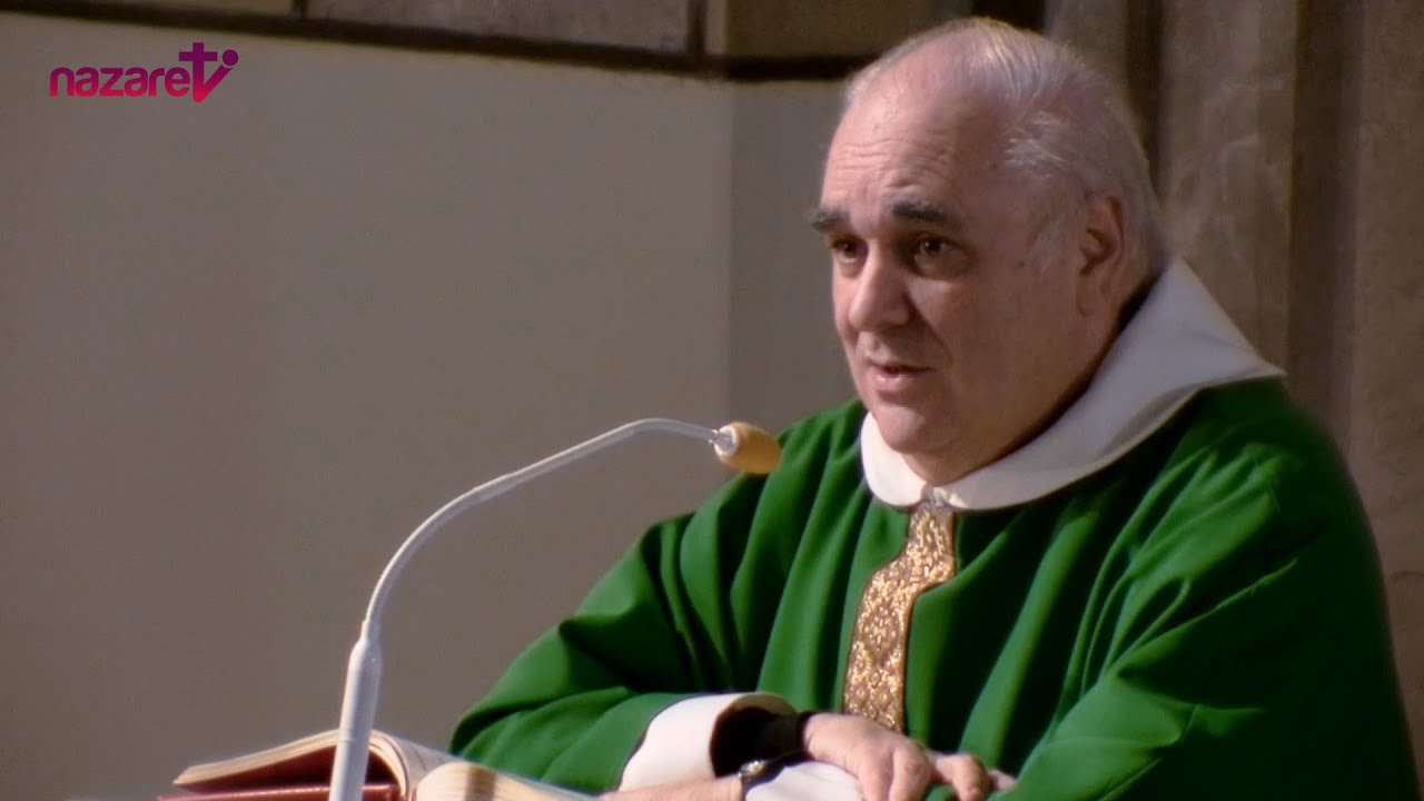 Evangelio y homilía de hoy viernes 25 de octubre de 2024. Rvdo. Enric Ribas, pbro.