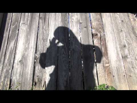 Video thumbnail for Gutter Gravity