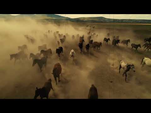 Cem Egemen Ft. NYDA - Race (Official Lyric Video) #afrohouse