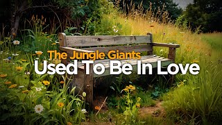The Jungle Giants - Used To Be In Love (Lyrics)