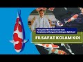 Hubungan Ikan Hias Dengan Ketenangan Jiwa