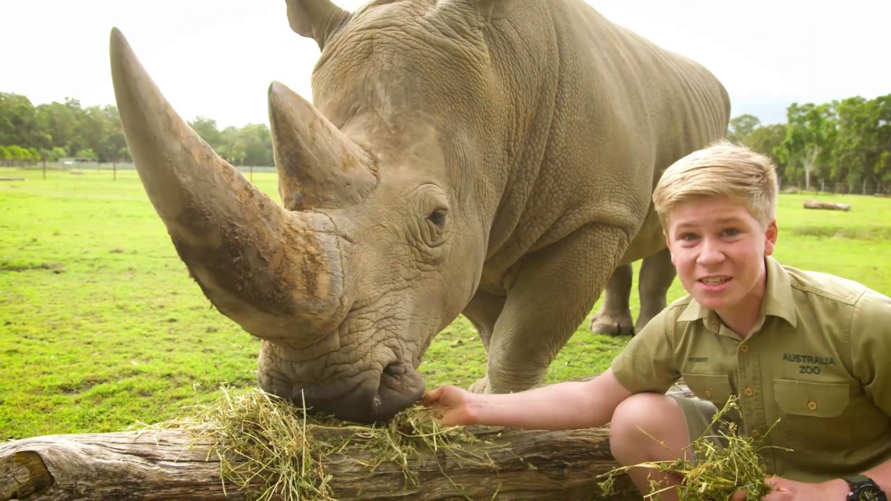How do I meet Robert Irwin?