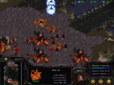 Arew vs SquaLL GRAND FINALS BWML Individual Tour