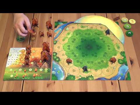Photosynthesis társasjáték - d3meeples
