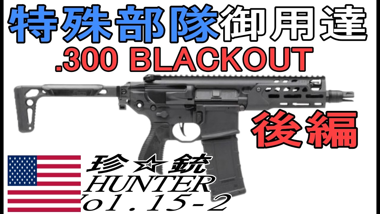 【ゆっくり解説】珍銃ハンターvol .15-2　特殊部隊御用達　.300BLK
