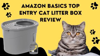 Amazon Basics Top Entry Cat Litter Box Review
