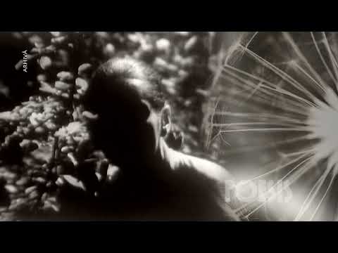 Poesis: Irina Petrescu şi Ovidiu Iuliu Moldovan - Dorinţa de Mihai Eminescu (@Arhiva TVR)