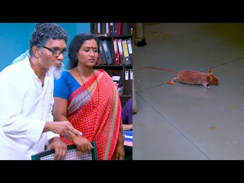 Marimayam | Episode  349 - 10 June 2018 I  Mazhavil Manorama