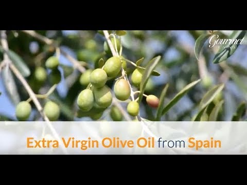 download lagu mp3 mp4 Pons Extra Virgin Olive Oil Traditional, download lagu Pons Extra Virgin Olive Oil Traditional gratis, unduh video klip Pons Extra Virgin Olive Oil Traditional